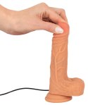 Realistixxx - Naturalny Wibrator Z Żyłami Żołędziem I Pilotem 18.6cm