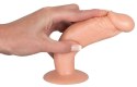 You2Toys You2Toys - Zestaw dildo do treningu analnego