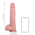 RealRock by Shots RealRock - Extra duże realistyczne dildo z jądrami 33 cm