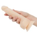 Naked Addiction Pulsator - Naked Addiction Thrusting Dong with Remote 23 cm Vanilla