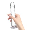 Dildo - Addiction Crystal Addiction Vertical Dildo 23 cm