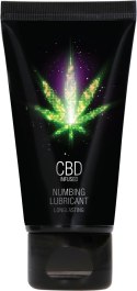 Lubrykant CBD 50 ml Pharmquests shots