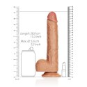 RealRock - Proste realistyczne dildo z jądrami i przyssawką 25,5 cm